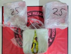 Tiga Kilogram Sabu, Berhasil Diamankan Jajaran Satnarkoba Polres Tanjab Barat Jambi