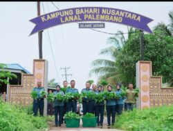 Dalam Rangka Mendukung Program Ketahanan Pangan Nasional, Lanal Palembang Gelar Panen Raya