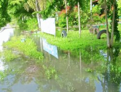 Saluran Air Buntu, Halaman SMP Negeri 01 Gelumbang Banjir