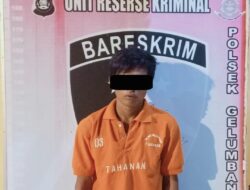 Pelaku Pencurian di Desa Gumai Gelumbang Ditangkap