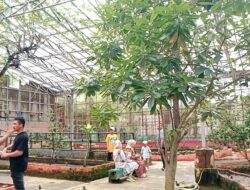 Palembang Bird Park Menjadi Pilihan Berwisata Dihari Libur Lebaran