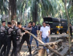Arena Judi Sabung Ayam di Muara Harapan Muara Enim Dibongkar Dan Dibakar Aparat