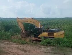 PT Gorby Serobot HGU Perusahaan Perkebunan PT SKB