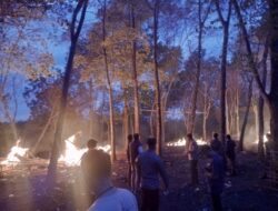 Arena Judi Sabung Ayam di Bedegung Panang Enim Digrebek Petugas