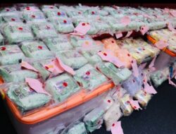 Ungkap Narkoba di Semester I 2024, Polda Sumsel Selamatkan 2,2 Juta Jiwa