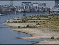 Duh, Alangkah Jernihnya Air Sungai Rein di Jerman