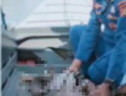 Bocah 6 Tahun Tenggelam di Perairan Sungai Lematang Ditemukan Mengapung