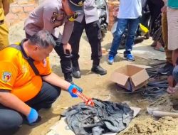 Geger Warga Palembang temukan Tulang di Halaman Rumah