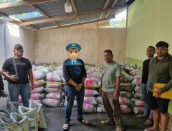 POLDA GORONTALO MELAKUKAN GAKKUM PETI BATU HITAM.