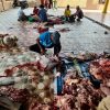 Warga Rt 57 Kelurahan 5 Ulu Sembelih 5 Hewan Kurban, Ambil Daging Warga Tukar Dengan Kupon !