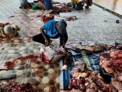 Warga Rt 57 Kelurahan 5 Ulu Sembelih 5 Hewan Kurban, Ambil Daging Warga Tukar Dengan Kupon !