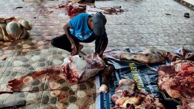 Warga Rt 57 Kelurahan 5 Ulu Sembelih 5 Hewan Kurban, Ambil Daging Warga Tukar Dengan Kupon !