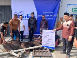 Semangat Berbagi dalam Rangka Idul Adha, BRI Region 4 Palembang Distribusikan 45 Hewan Kurban di Berbagai Daerah di Sumatera Selatan, Jambi dan Kepulauan Bangka