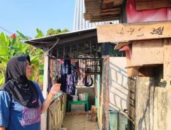 Terekam CCTV, Pria Bertopi Curi 5 Ekor Burung Dara di Bungaran V